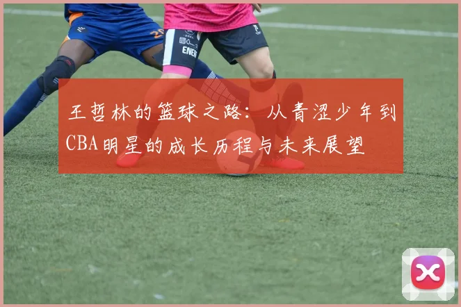 王哲林的篮球之路：从青涩少年到CBA明星的成长历程与未来展望