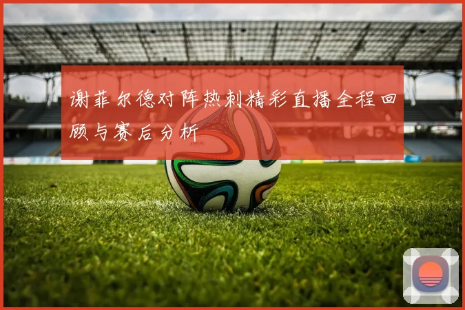 谢菲尔德对阵热刺精彩直播全程回顾与赛后分析