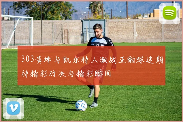 303黄蜂与凯尔特人激战正酣球迷期待精彩对决与精彩瞬间