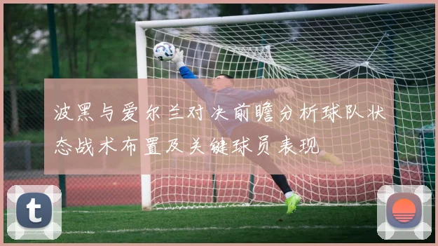 波黑与爱尔兰对决前瞻分析球队状态战术布置及关键球员表现