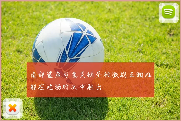 南部鲨鱼与惠灵顿圣徒激战正酣谁能在这场对决中胜出