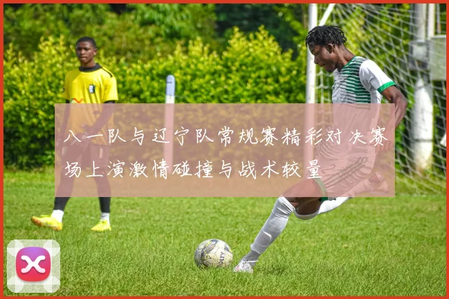 八一队与辽宁队常规赛精彩对决赛场上演激情碰撞与战术较量