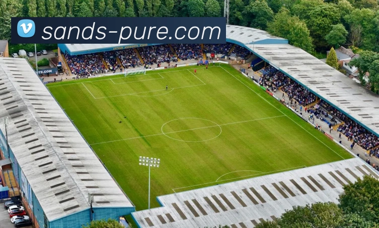 金沙娱乐城平台生态图